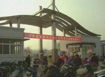 新春佳節 歡樂多多