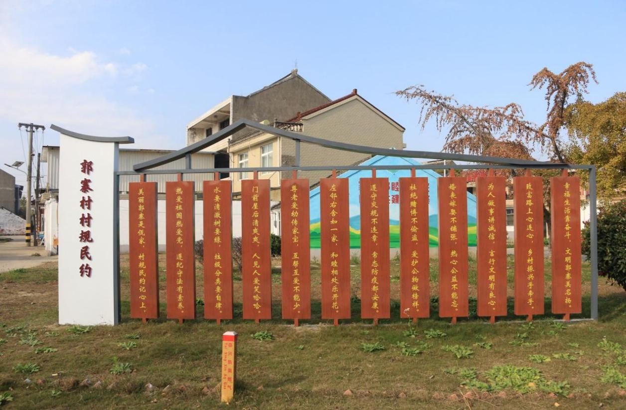文明泰興·風景線|村鎮創建篇② 凝聚“村規民約”合力 激發文明風尚動能